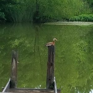 Meet your Posher, Terry